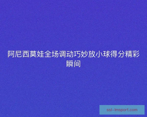 阿尼西莫娃全场调动巧妙放小球得分精彩瞬间