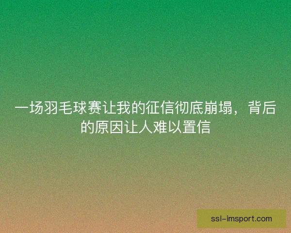 一场羽毛球赛让我的征信彻底崩塌,背后的原因让人难以置信 一场羽毛球赛让我的征信彻底崩塌,背后的原因让人难以置信