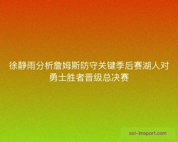 徐静雨分析詹姆斯防守关键季后赛湖人对勇士胜者晋级总决赛